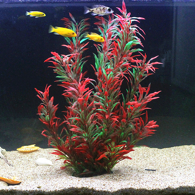 Aquarium Marine Tank - 50CM Nhân Tạo Cá Thực Vật