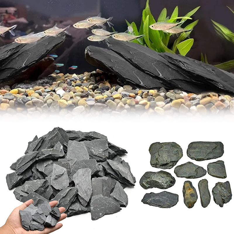 500/1000g Fish Tank Landscape  - đánh giá và giá Aquarium Marine Tank