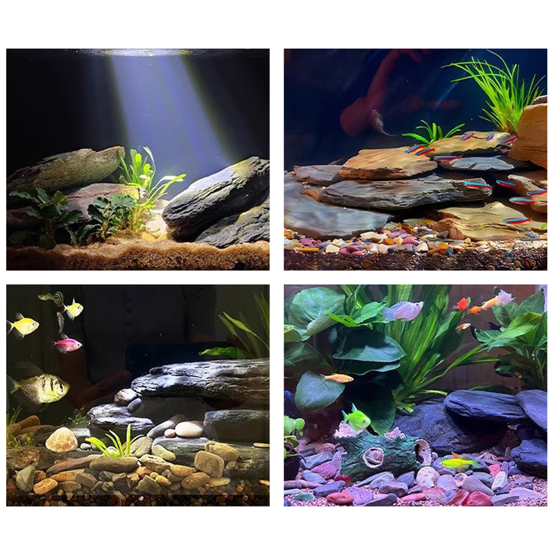 500/1000g Fish Tank Landscape  - đánh giá và giá Aquarium Marine Tank