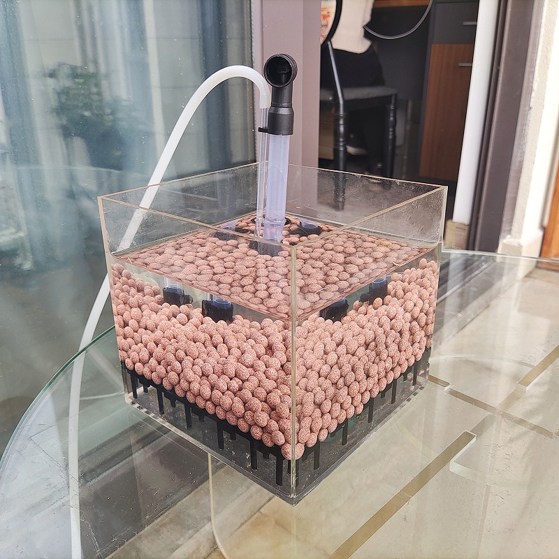 Transparent Acrylic Shrimp Fis - đánh giá và giá Marine Aquarium Overflow Box
