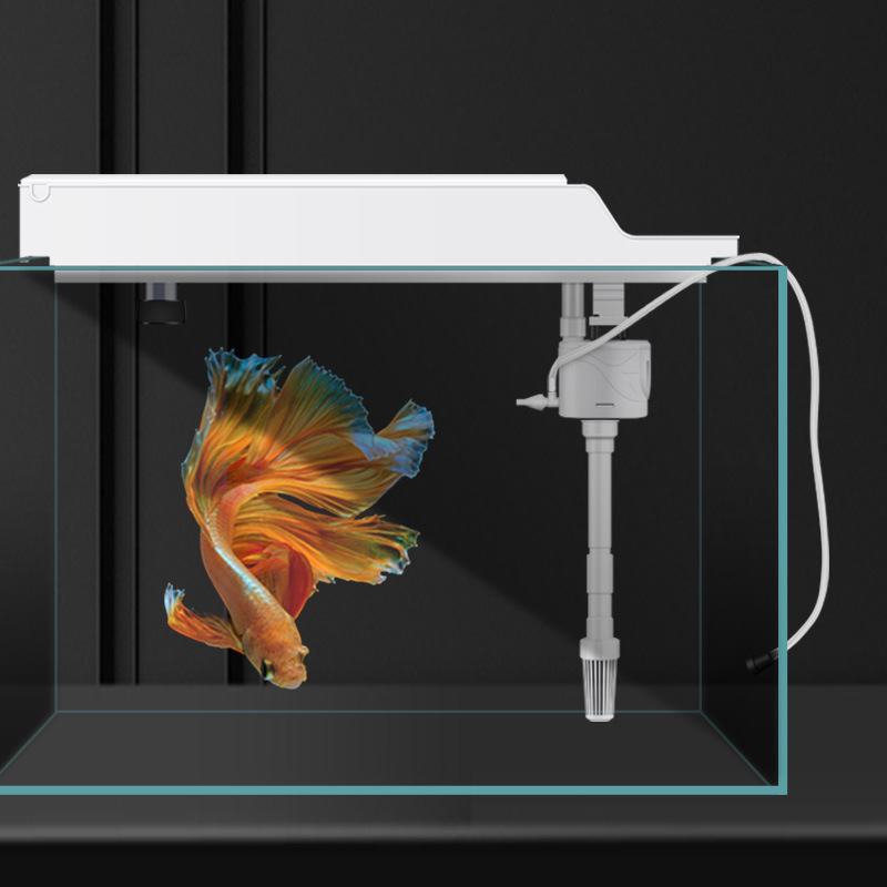 Mưa Lọc Bể Cá Filting Hộp Hệ T - đánh giá và giá Marine Aquarium Overflow Box