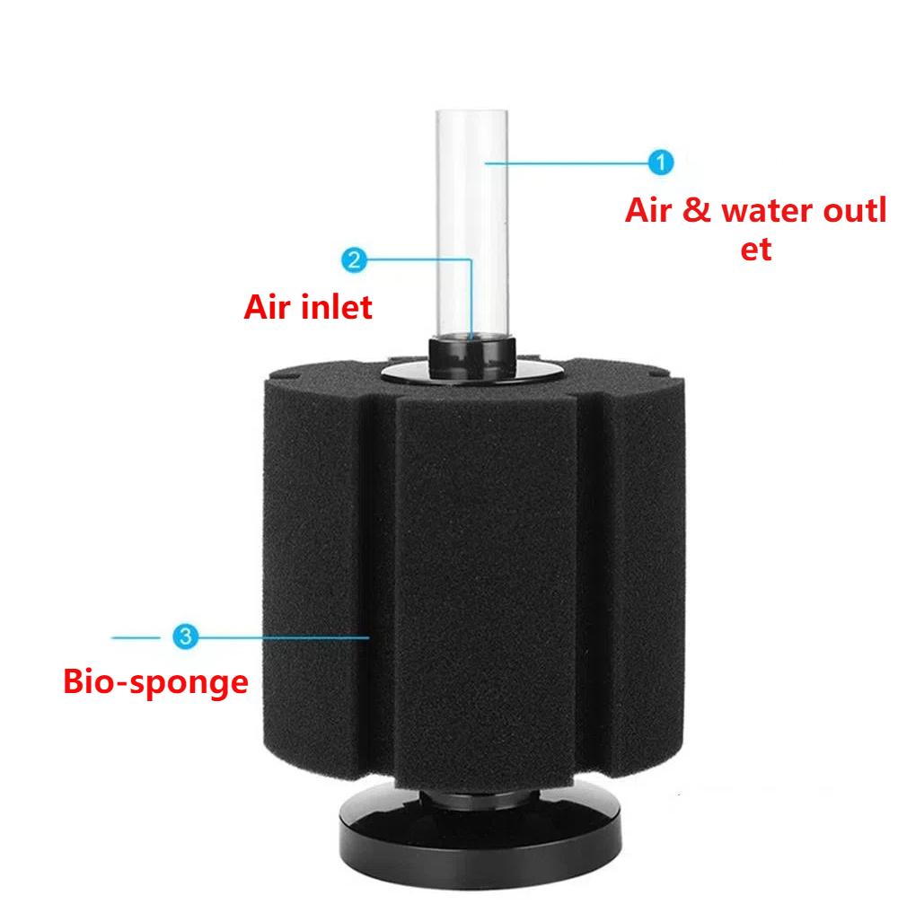 Aquarium Filter Sponge For Fis - đánh giá và giá Marine Aquarium Overflow Box