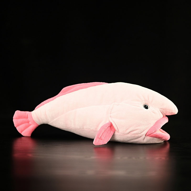 Simulated Animal Blobfish Sea  - đánh giá và giá Aquarium And Marine Museum