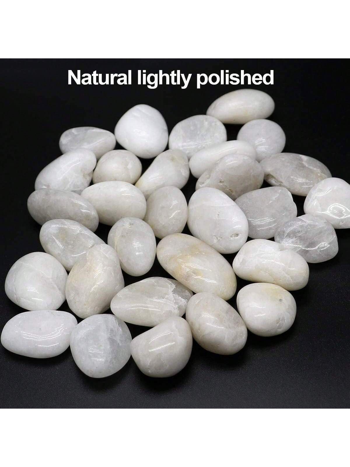 River Rocks Decorative Ornamen - đánh giá và giá Aquarium Marine Tank