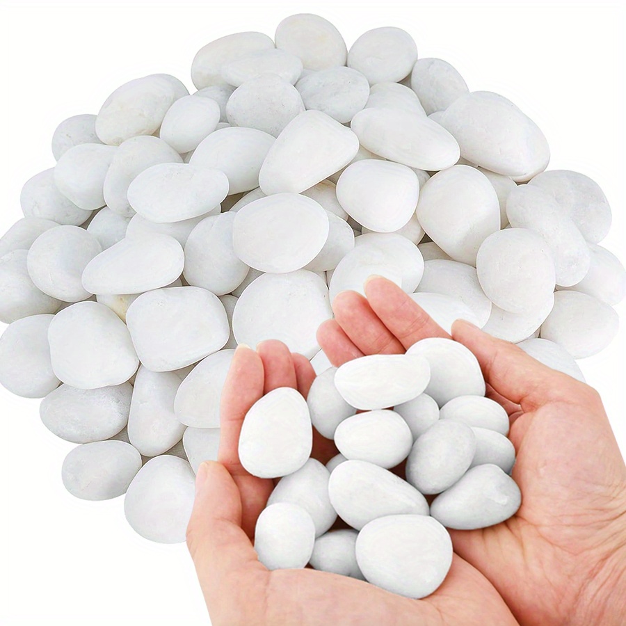 200/400g White High Polished N - đánh giá và giá Aquarium Marine Tank