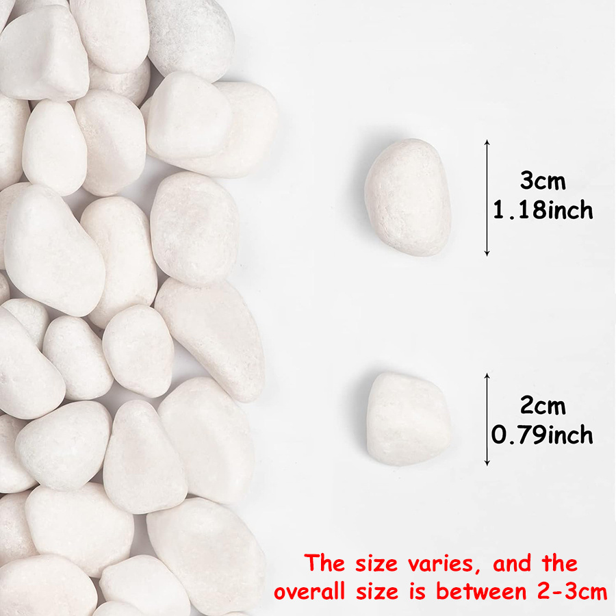 200/400g White High Polished N - đánh giá và giá Aquarium Marine Tank