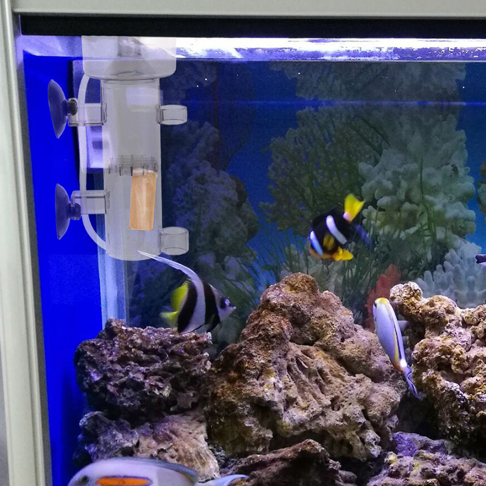 Protein Skimmer Acrylic Aquari - đánh giá và giá Aquarium Marine Tank