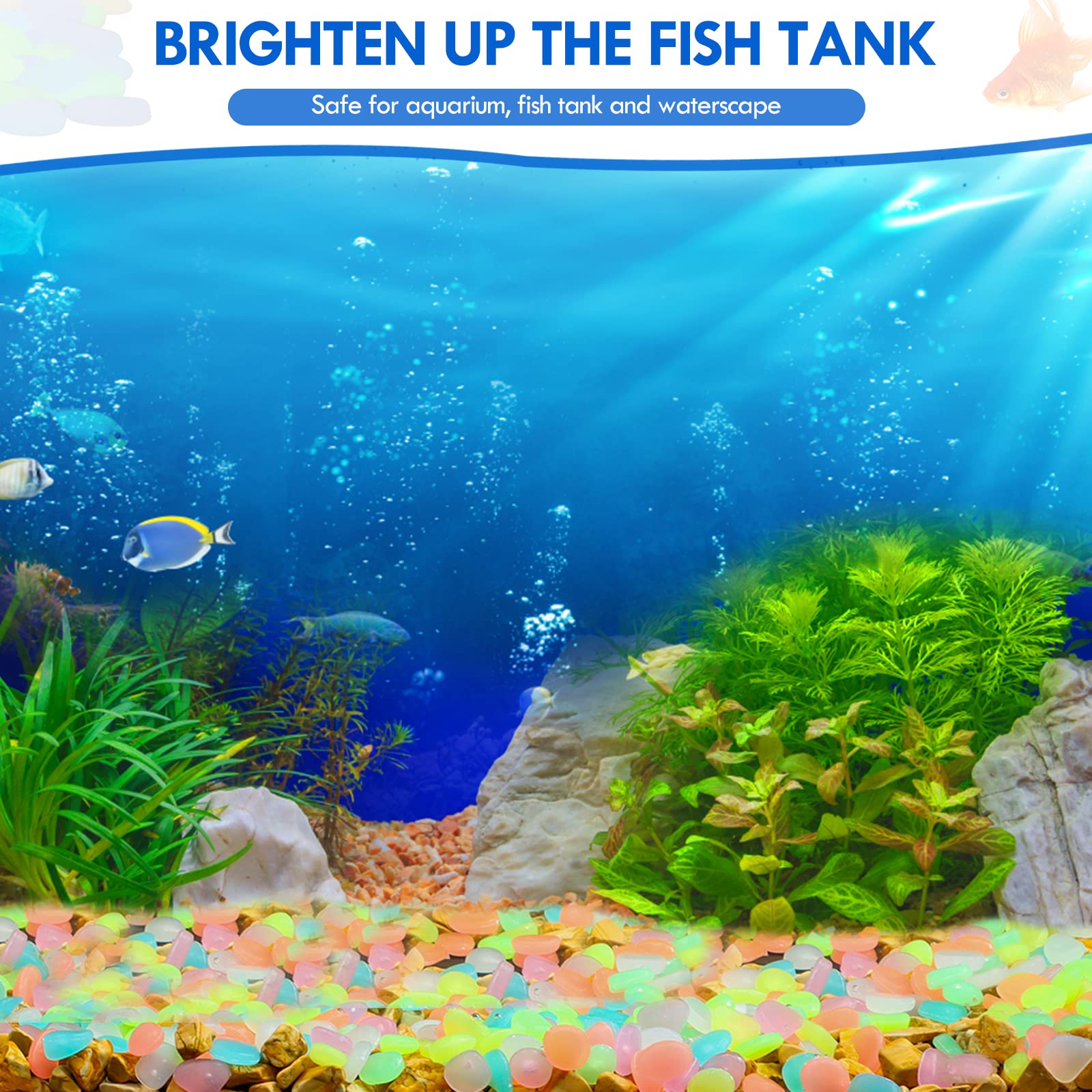 100Pcs Glow in the Dark Garden - đánh giá và giá Aquarium Marine Tank