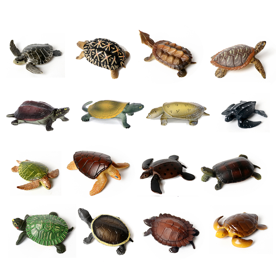 Thực Tế Bức Tiểu Họa Sinh Vật  - đánh giá và giá Aquarium Marine Tank